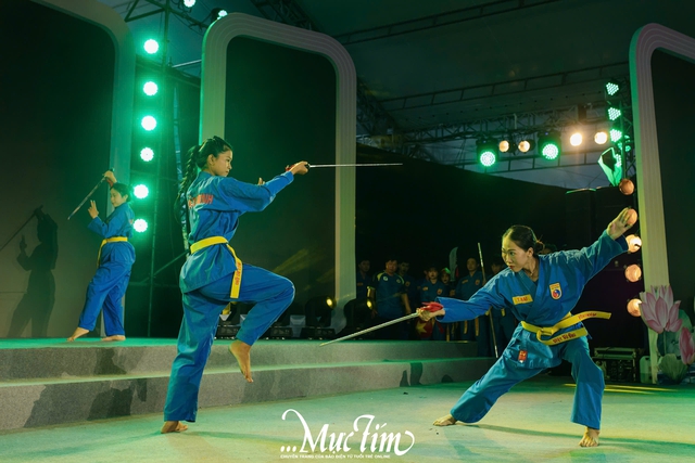 Mãn nhãn những màn biểu diễn võ Vovinam tại Những ngày văn học - nghệ thuật TP.HCM - Ảnh 6.