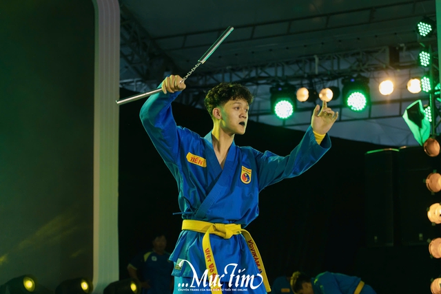 Mãn nhãn những màn biểu diễn võ Vovinam tại Những ngày văn học - nghệ thuật TP.HCM - Ảnh 7.