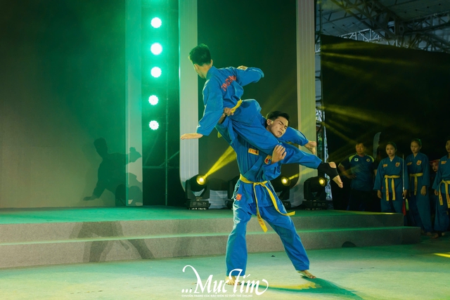 Mãn nhãn những màn biểu diễn võ Vovinam tại Những ngày văn học - nghệ thuật TP.HCM - Ảnh 11.