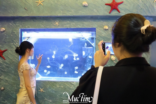 Lạc vào thủy cung sứa biển đầy màu sắc giữa lòng thành phố- Ảnh 2.