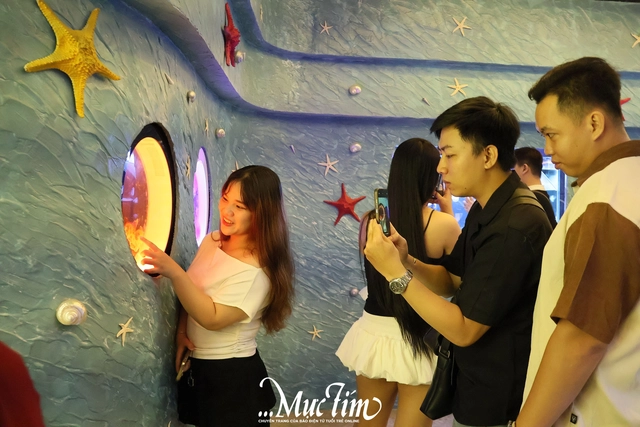 Lạc vào thủy cung sứa biển đầy màu sắc giữa lòng thành phố- Ảnh 3.