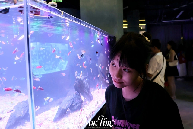 Lạc vào thủy cung sứa biển đầy màu sắc giữa lòng thành phố- Ảnh 4.