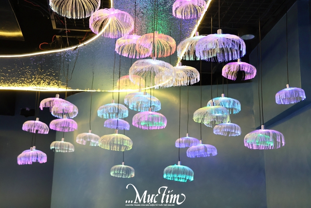 Lạc vào thủy cung sứa biển đầy màu sắc giữa lòng thành phố- Ảnh 11.