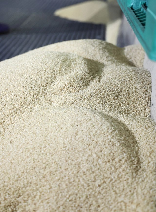Japan to resume rice purchases for stockpiling - Ảnh 1.