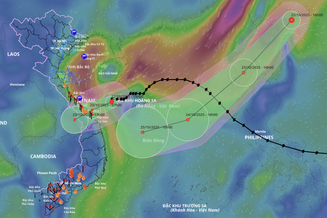 Storm Fengshen weakens into tropical depression under cold air influence - Ảnh 1.
