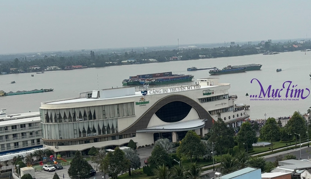 Gần khu vực chung kết Đường lên đỉnh Olympia ở Đồng Tháp có gì? - Ảnh 5.