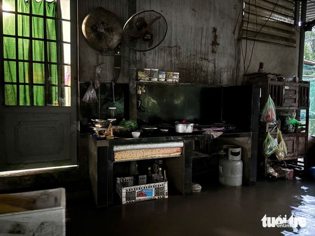 Record floods in Ho Chi Minh City, southern Vietnam kill 1; submerge homes, crops- Ảnh 1. Record floods in Ho Chi Minh City, southern Vietnam kill 1; submerge homes, crops- Ảnh 1.