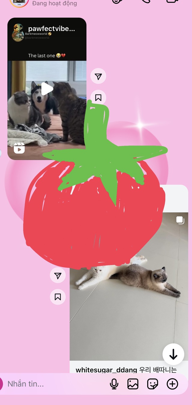 Instagram cho phép vẽ lên khung chat, cư dân mạng rần rần khoe tác phẩm- Ảnh 1.