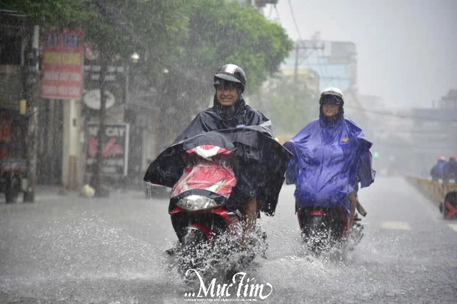 Từ đêm nay đến 30-10, TP.HCM dự báo tiếp tục có mưa to - Ảnh 2.