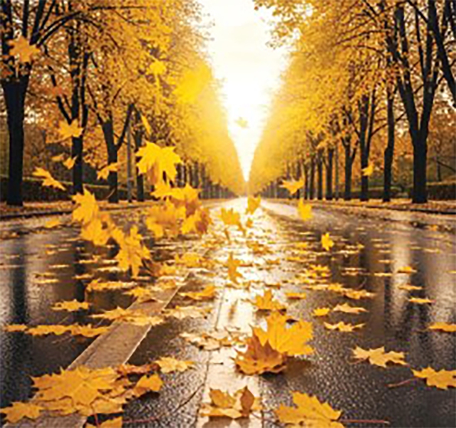 Bạn đang nghĩ gì? - Ảnh 2.