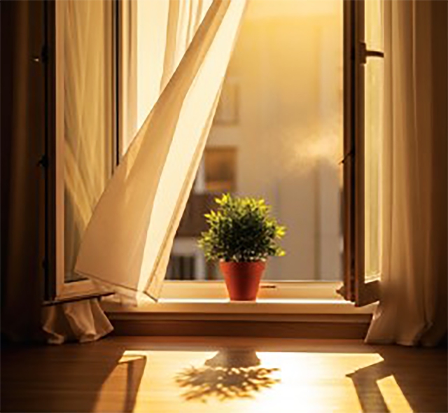 Bạn đang nghĩ gì? - Ảnh 1.