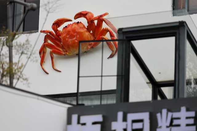 China's heatwaves threaten to dry up supply of delicious 'hairy crabs'- Ảnh 6.
