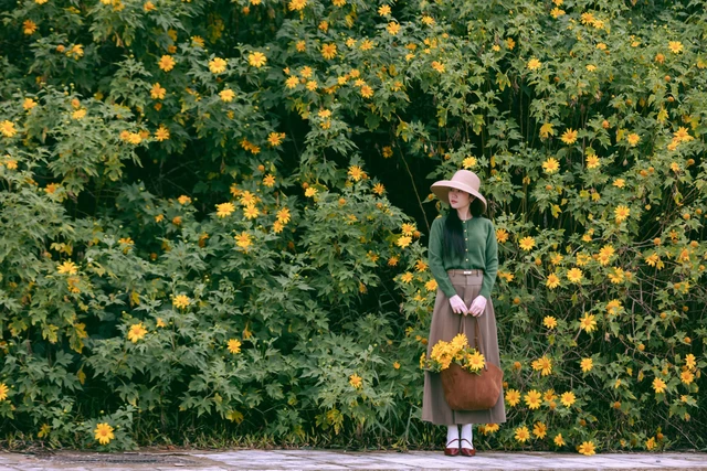 Mùa hoa dã quỳ Đà Lạt: đi đâu, chụp sao để có ảnh đẹp nhất? - Ảnh 1.