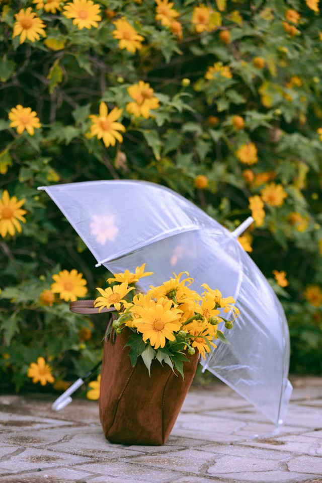 Gửi bạn 11 lời chào tháng 11 rực rỡ- Ảnh 1. Gửi bạn 11 lời chào tháng 11 rực rỡ- Ảnh 1.