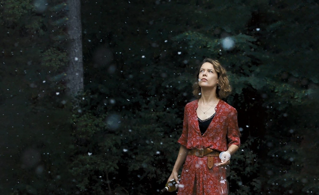 Berlin Silver Bear winner ‘Roter Himmel’ opens German film festival in Vietnam- Ảnh 2.