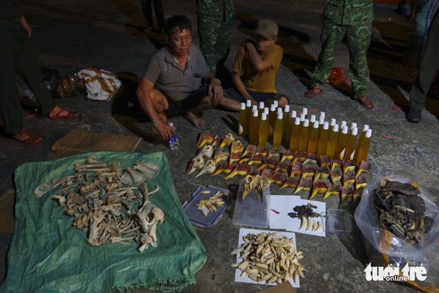 Authorities in Vietnam’s Vinh Long seize over 7 tonnes of wildlife products illegally transported from Indonesia- Ảnh 1.
