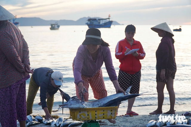 Doc Let Beach in Vietnam’s Khanh Hoa: A peaceful coastal escape- Ảnh 2. Doc Let Beach in Vietnam’s Khanh Hoa: A peaceful coastal escape- Ảnh 2.