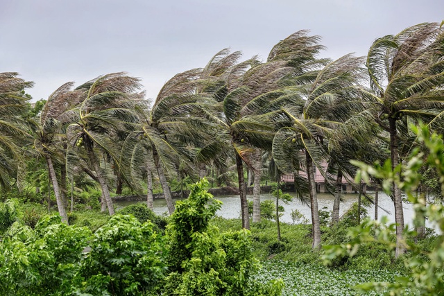 Tropical depression or storm may form in East Vietnam Sea early November - Ảnh 1.