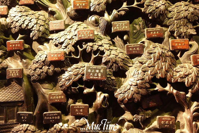 Trải nghiệm Việt phục miễn phí tại Bảo tàng Y học cổ truyền Việt Nam - Ảnh 7.