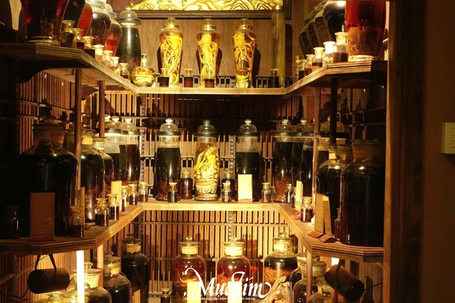 Trải nghiệm Việt phục miễn phí tại Bảo tàng Y học cổ truyền Việt Nam - Ảnh 9.