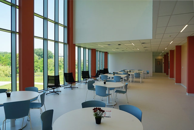 Human challenge trials gain ground in Europe; Japan cautious- Ảnh 3.