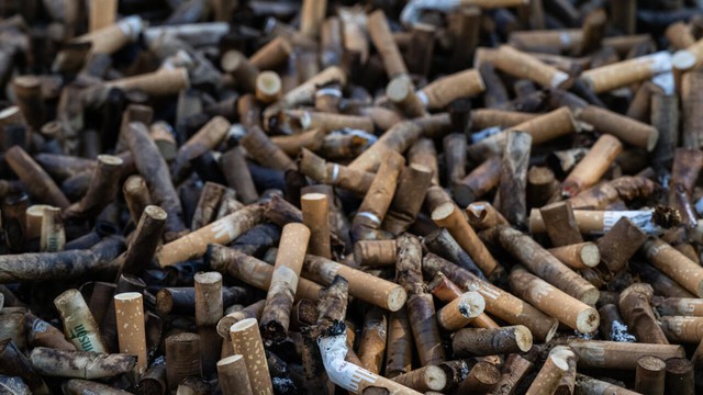 Tobacco conference to weigh up stubbing out cigarette butts- Ảnh 1.