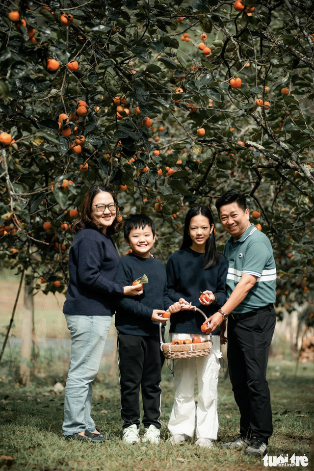 Visitors enchanted by persimmon gardens in Vietnam’s Central Highlands - Ảnh 5.