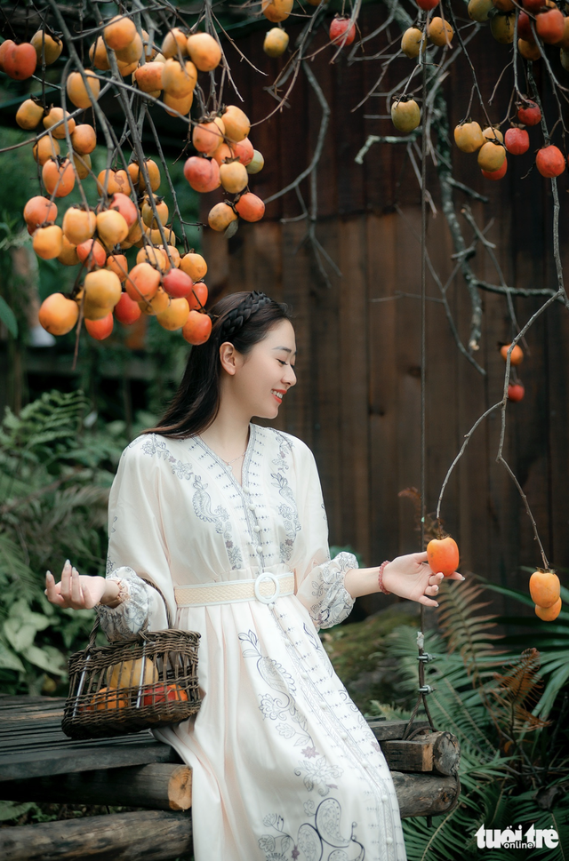 Visitors enchanted by persimmon gardens in Vietnam’s Central Highlands - Ảnh 6.