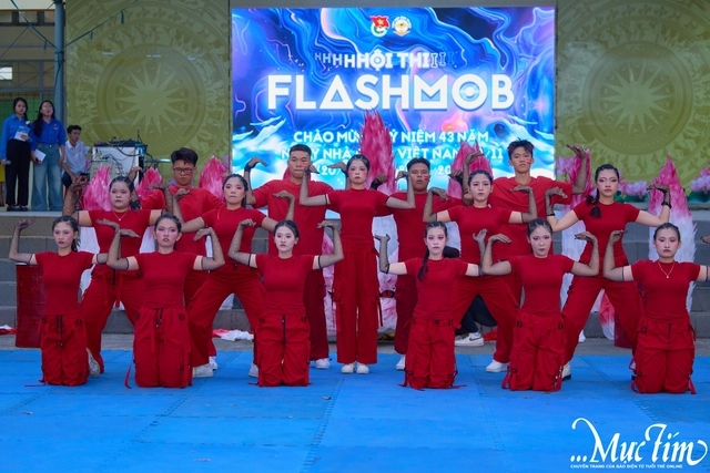Teen THPT Hiệp Bình bùng nổ tại chung kết flashmob chào mừng 20-11- Ảnh 16.