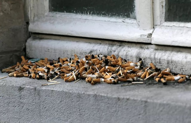 Tobacco conference to weigh up stubbing out cigarette butts- Ảnh 2.