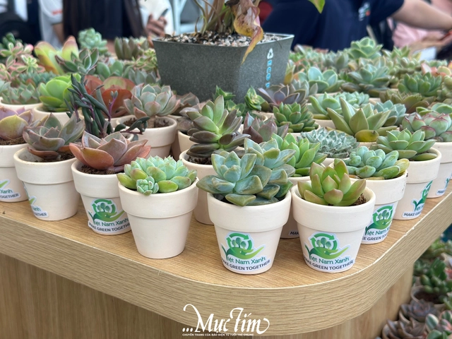 Tấp nập người đến đổi rác, nhận quà tại Ngày hội Việt Nam Xanh - Ảnh 4.