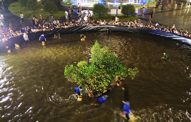 Sôi động cuộc thi mò cua nhanh tại ngày hội cua lần thứ II tỉnh Cà Mau - Ảnh 2.