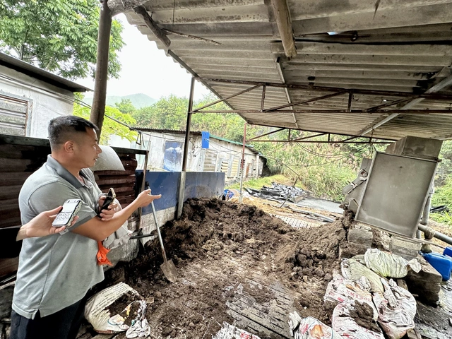 Australia’s green energy support reaches deep into Vietnam’s pig farming sector- Ảnh 3. Australia’s green energy support reaches deep into Vietnam’s pig farming sector- Ảnh 3.