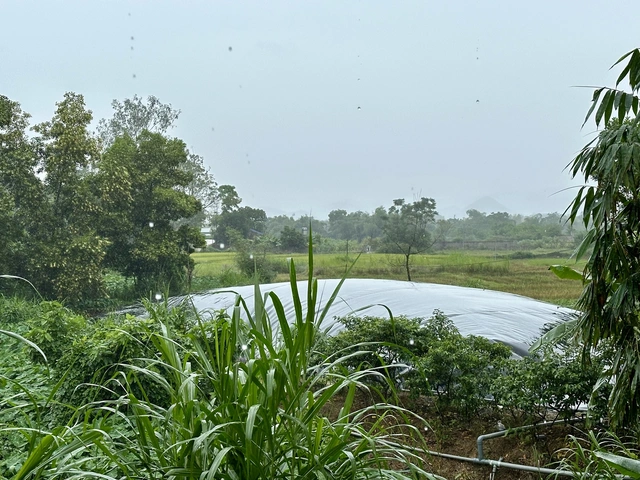 Australia’s green energy support reaches deep into Vietnam’s pig farming sector- Ảnh 2. Australia’s green energy support reaches deep into Vietnam’s pig farming sector- Ảnh 2.