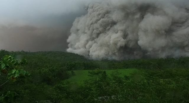 Indonesia evacuates stranded climbers after Semeru volcano erupts 
- Ảnh 1.