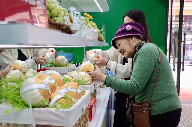 Hanoi exhibition showcases 500 genuine vs. counterfeit products to raise consumer awareness - Ảnh 1.