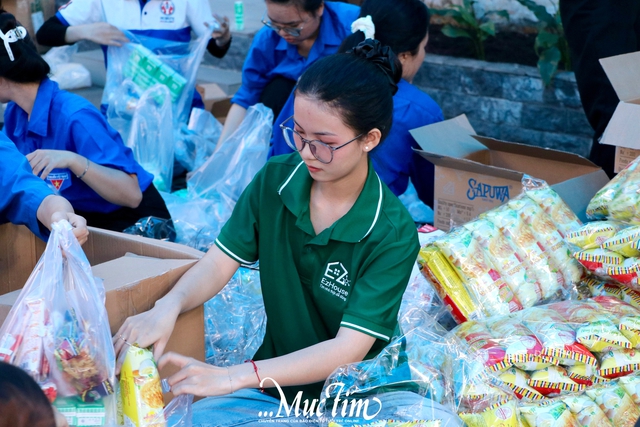 Người dân TP.HCM khẩn trương hỗ trợ nhu yếu phẩm cho miền Trung - Ảnh 10.