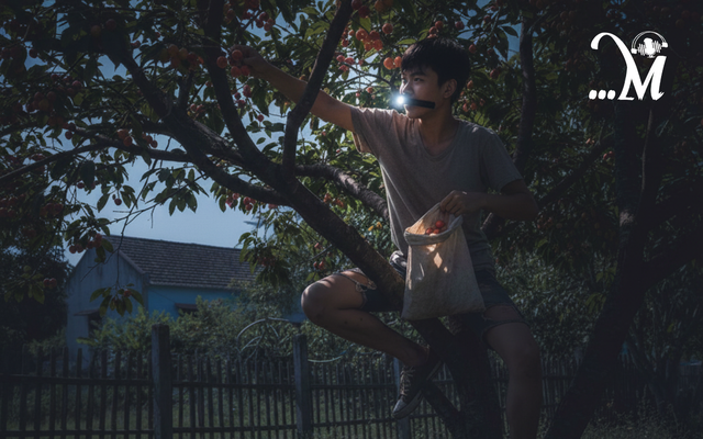 Podcast Mực Tím: Truyện ngắn Tên trộm mơ màng- Ảnh 1.