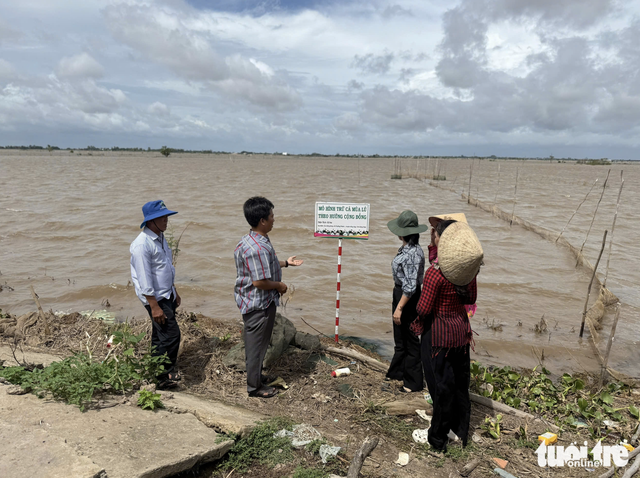 Tourists try new flood-season experiences in Vietnam’s Mekong Delta
- Ảnh 2.