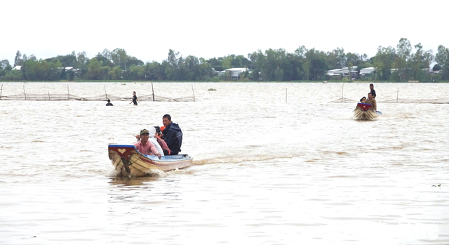 Tourists try new flood-season experiences in Vietnam’s Mekong Delta
- Ảnh 4.