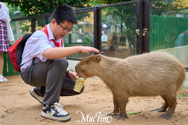 2 giờ khám phá thiên nhiên của các 'đại sứ' Công tắc khoa học tại Thảo cầm viên- Ảnh 5.