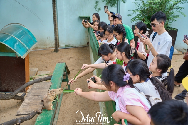 2 giờ khám phá thiên nhiên của các 'đại sứ' Công tắc khoa học tại Thảo cầm viên- Ảnh 7.