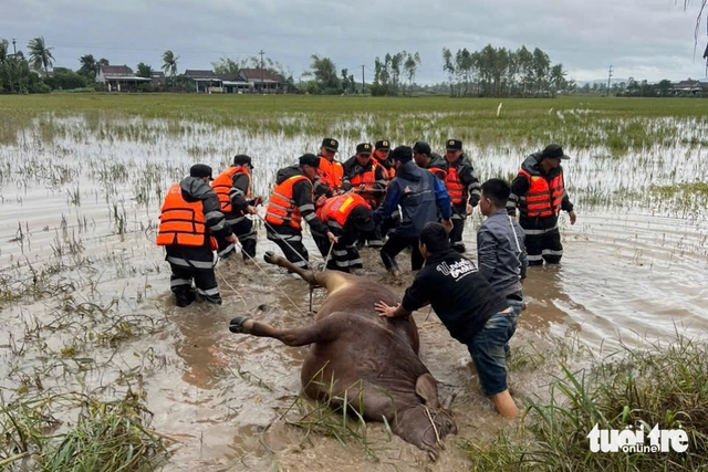 Vietnam’s economic hubs tasked with direct flood relief in south-central provinces- Ảnh 1.