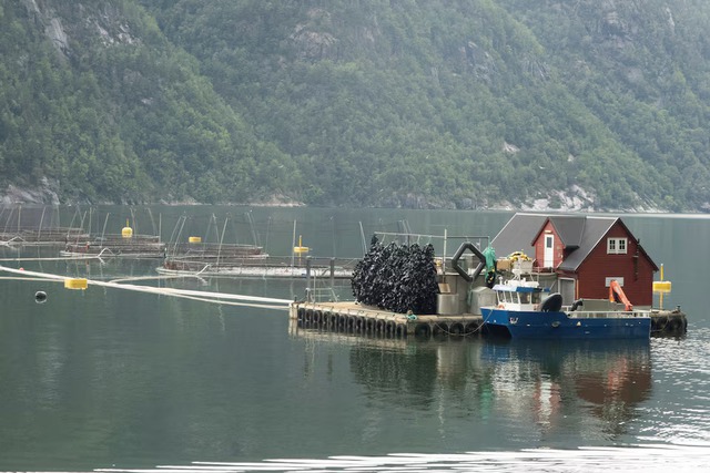 Norway's wealth tax trades millionaires for equality- Ảnh 2.