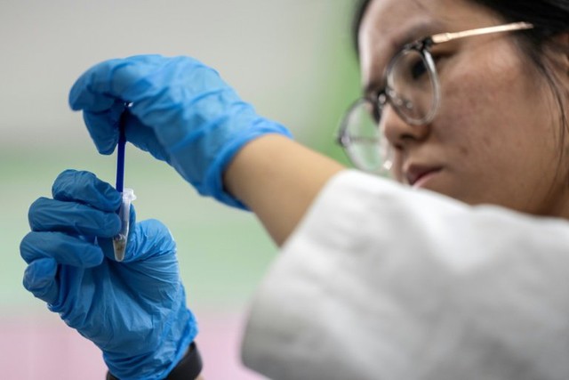 Malaysian scientists recruit bed bugs as crime scene sleuths- Ảnh 2.