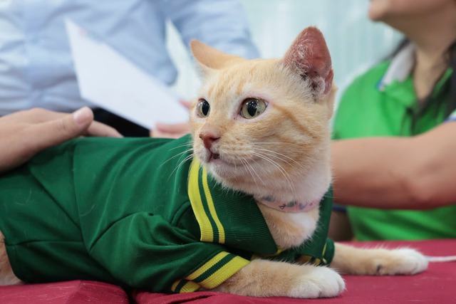 Thảo cầm viên miễn phí vé vào cổng cho "fan" cứng - Ảnh 2.