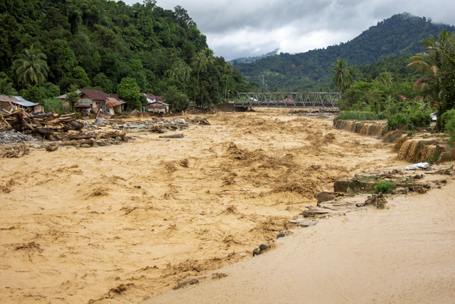 Rescuers step up recovery operations as Southeast Asia flood deaths reach 321
- Ảnh 1.