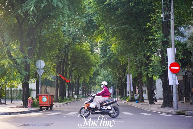 Thời tiết se lạnh, bạn trẻ TP.HCM, Đồng Nai xuống đường tận hưởng không khí- Ảnh 1. Thời tiết se lạnh, bạn trẻ TP.HCM, Đồng Nai xuống đường tận hưởng không khí- Ảnh 1.