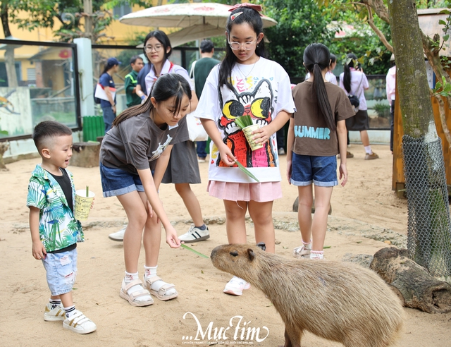 Thảo cầm viên miễn phí vé vào cổng cho "fan" cứng - Ảnh 1.