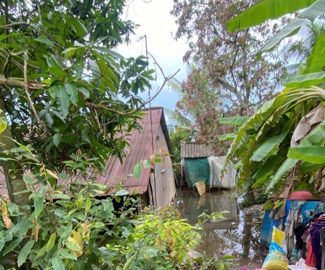 Mother, daughter die of suspected electrocution while bathing in southern Vietnam - Ảnh 1.